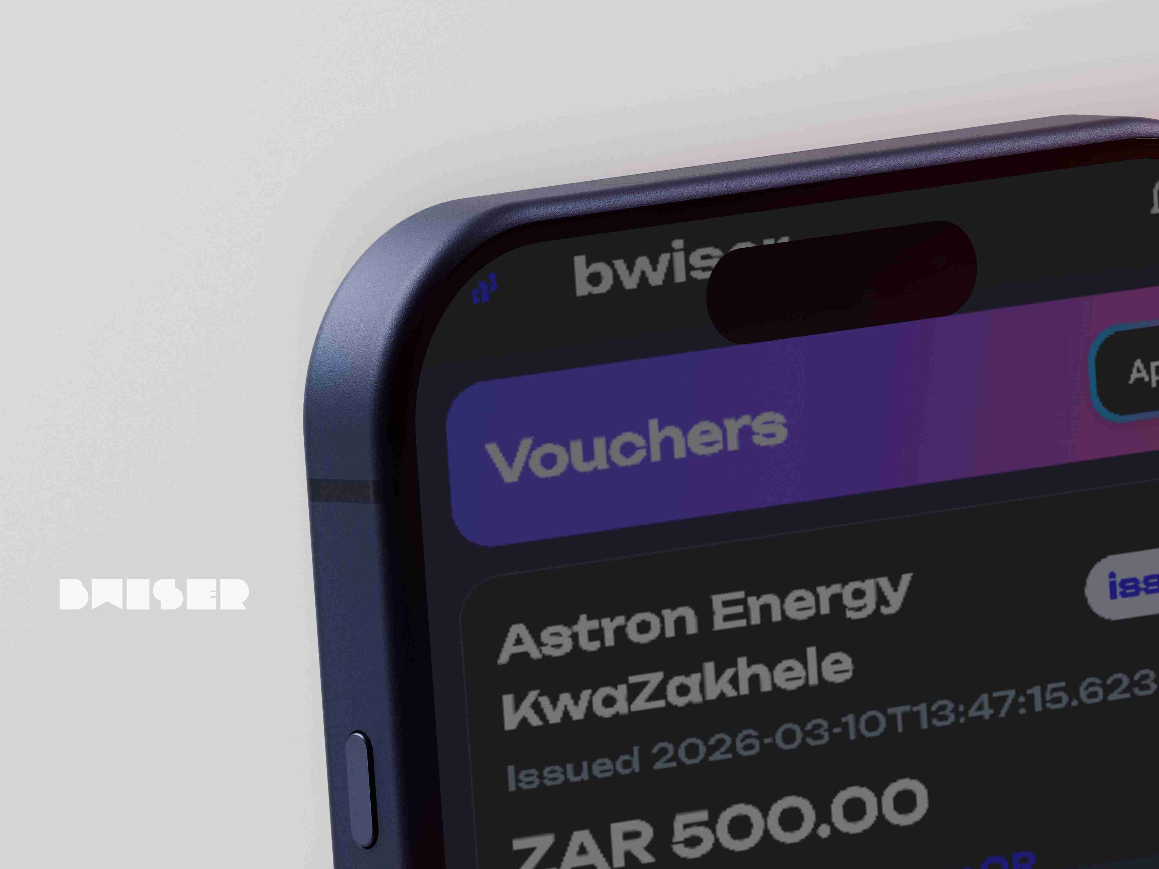 Bwiser merchant preview